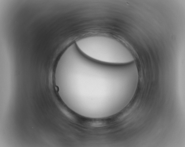 X0000114220445200910091052