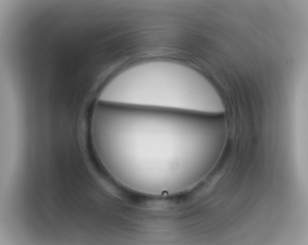 X0000114220448200910091052
