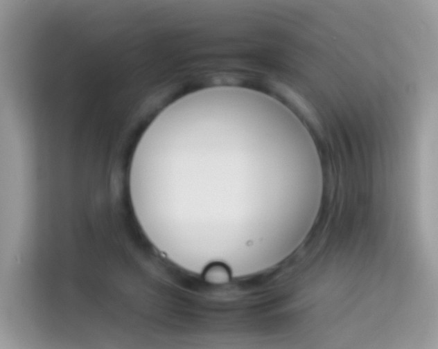 X0000114220451200910091052