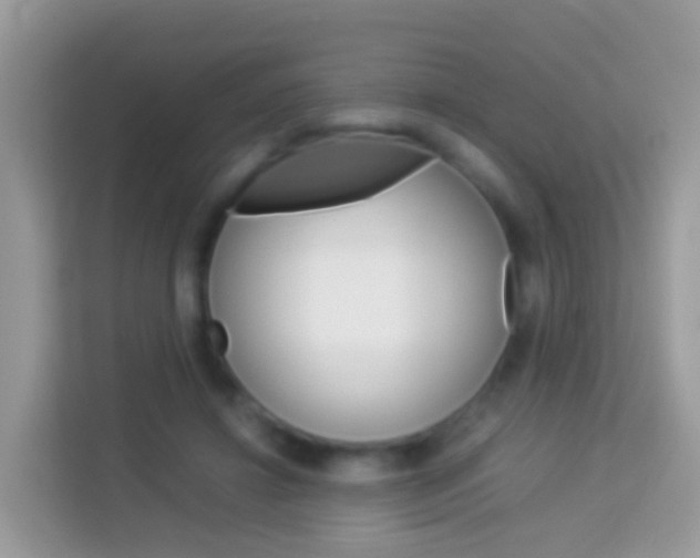 X0000114220452200910091052