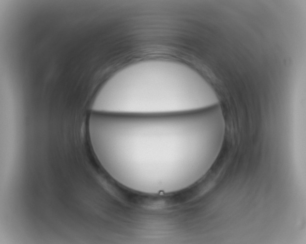 X0000114220454200910091052