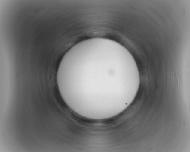 X0000114220460200910091052