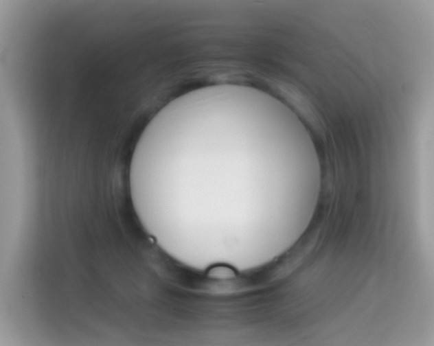 X0000114220461200910091052