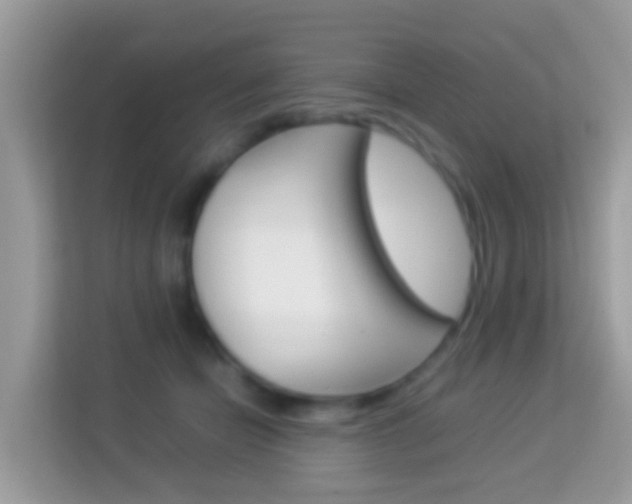 X0000114220462200910091052