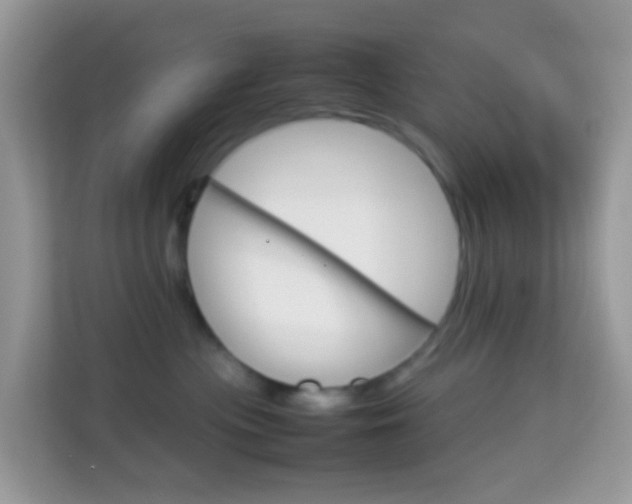 X0000114220477200910091052