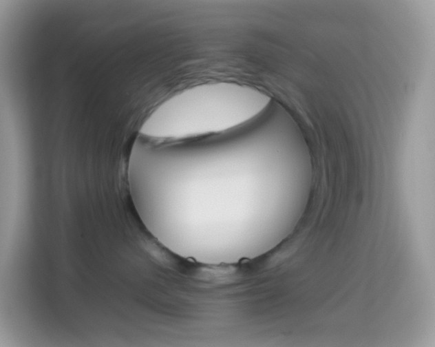 X0000114220480200910091052