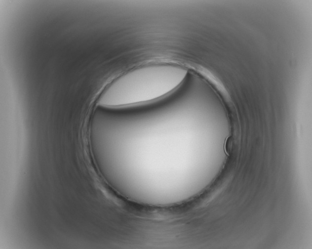 X0000114220481200910091052