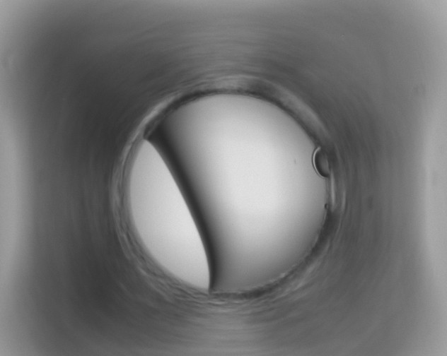 X0000114220483200910091052