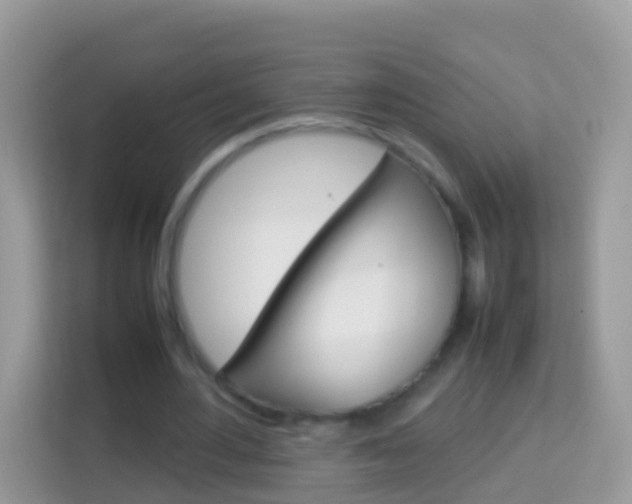 X0000114220484200910091052