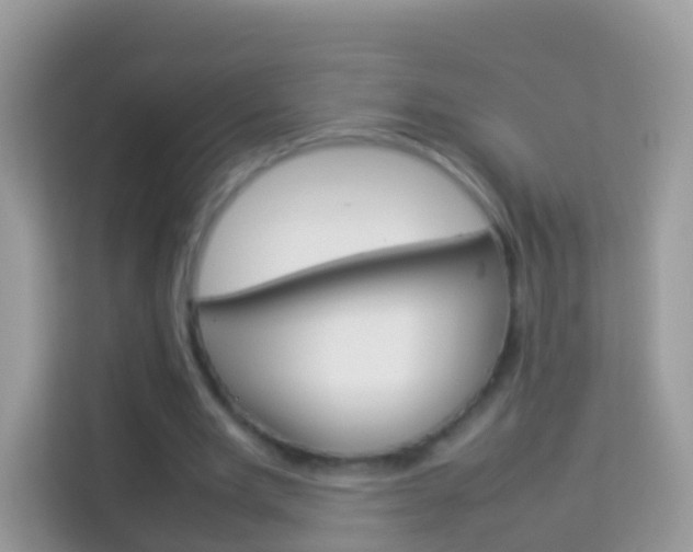 X0000114220485200910091052