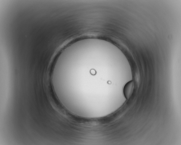 X0000114220492200910091052