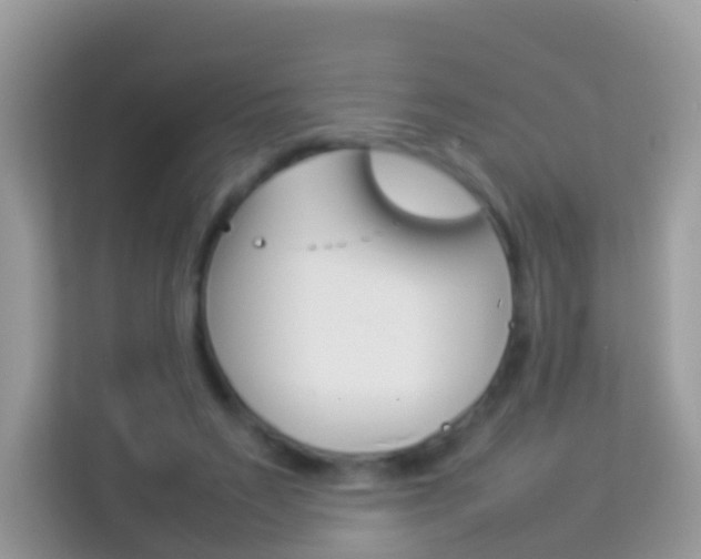 X0000114220495200910091052