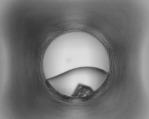 X0000114220501200910091052