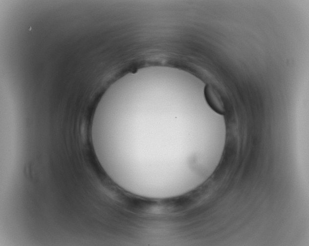 X0000114220504200910091051