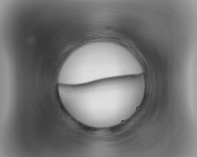 X0000114220505200910091051