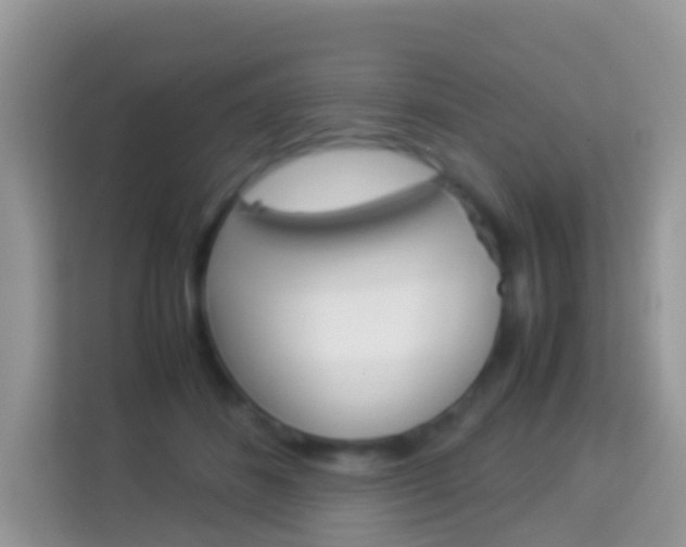 X0000114220508200910091051