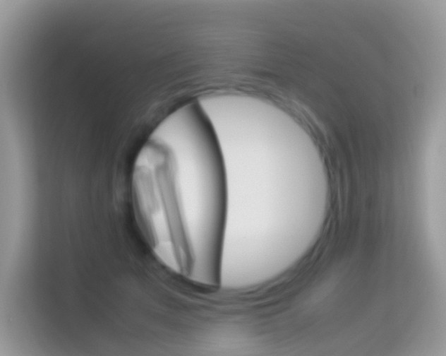X0000114220513200910091051