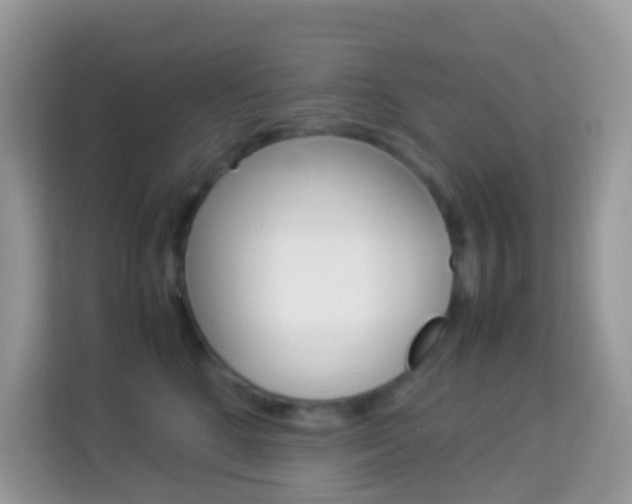 X0000114220520200910091051