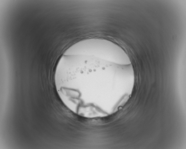 X0000114220525200910091051