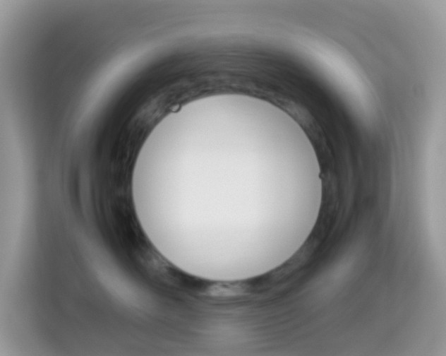 X0000114220526200910091051