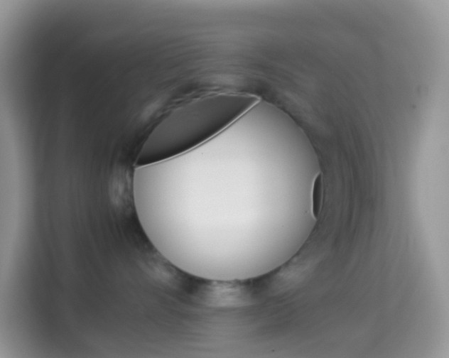 X0000114220528200910091051