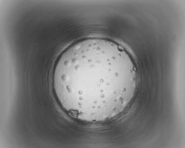 X0000114220529200910091051