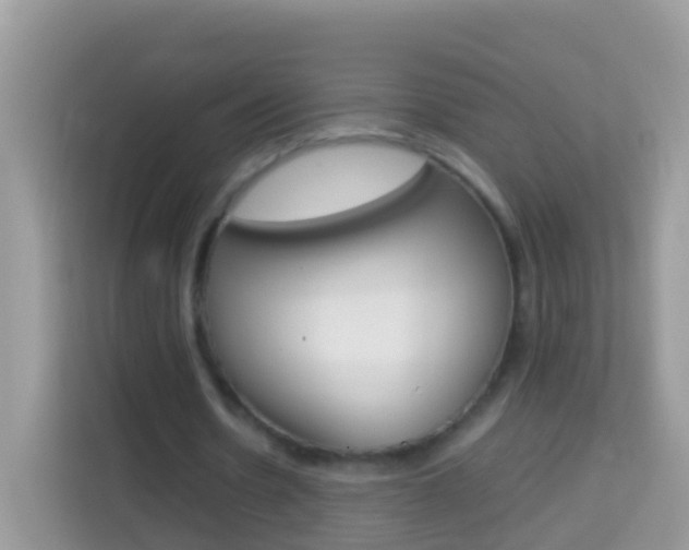 X0000114220530200910091051
