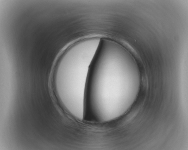 X0000114220532200910091051