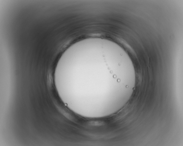 X0000114220541200910091051