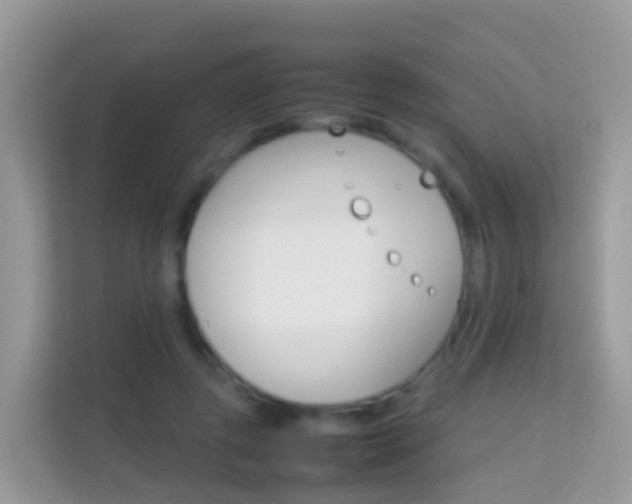 X0000114220545200910091051