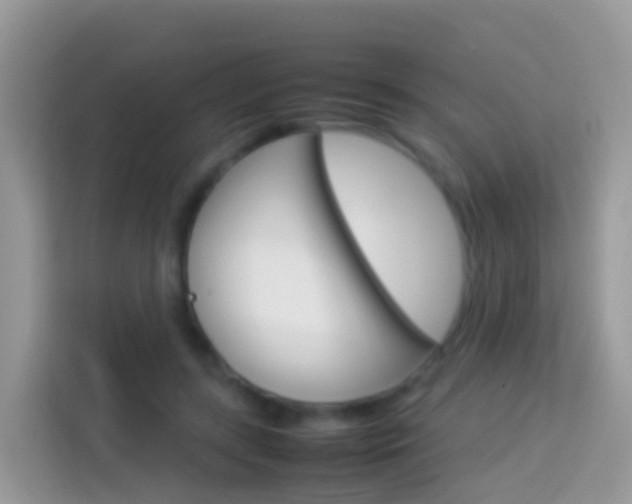X0000114220547200910091051