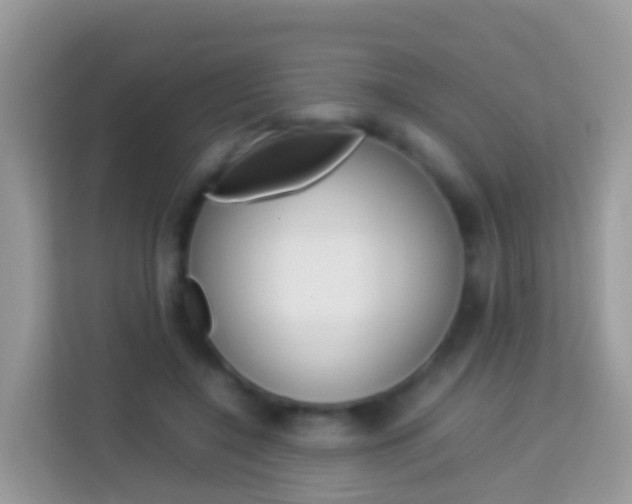 X0000114220548200910091051