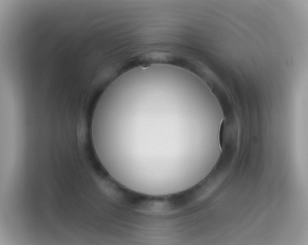 X0000114220552200910091051