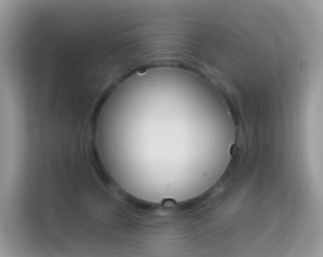 X0000114220560200910091051