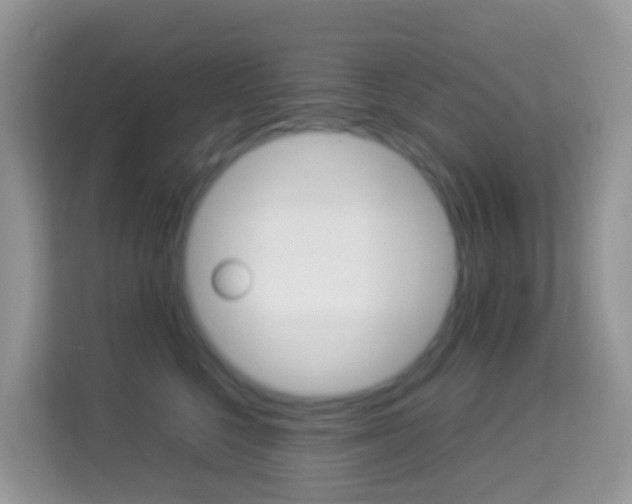 X0000114220568200910091051
