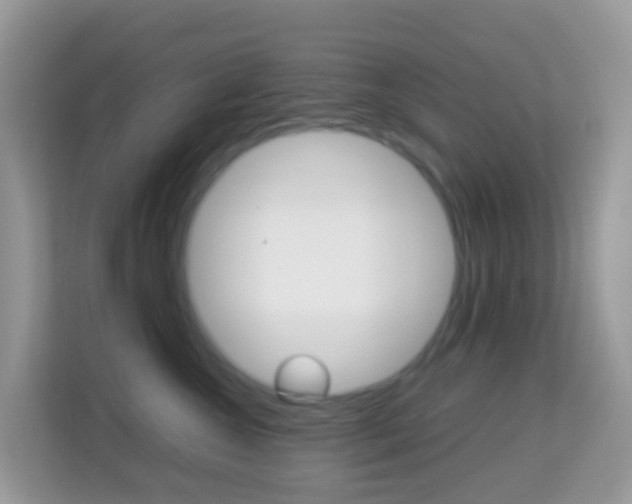 X0000114220572200910091051