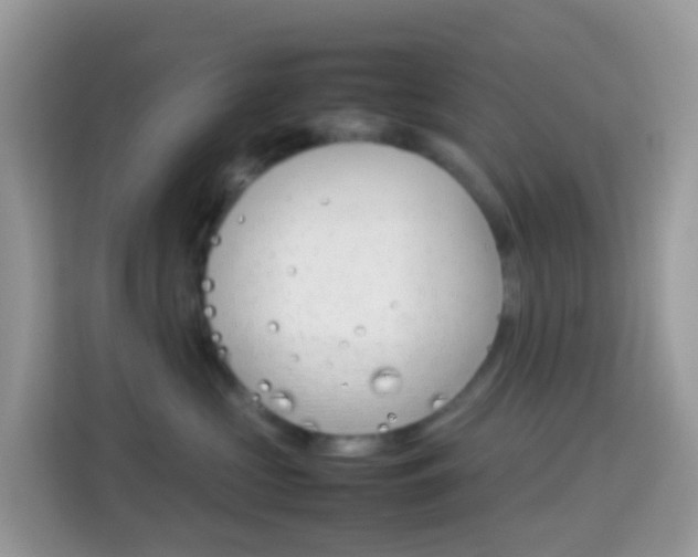 X0000114220573200910091051