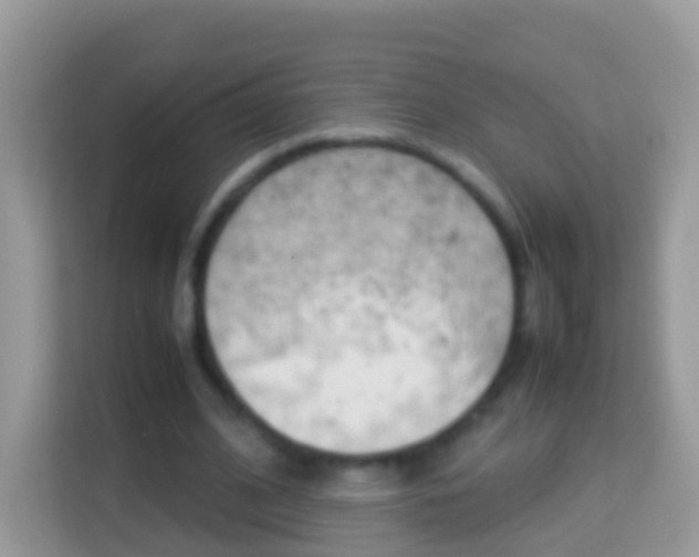 X0000114220584200910091050