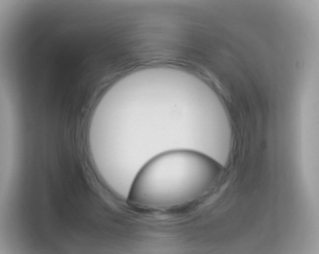 X0000114220589200910091050