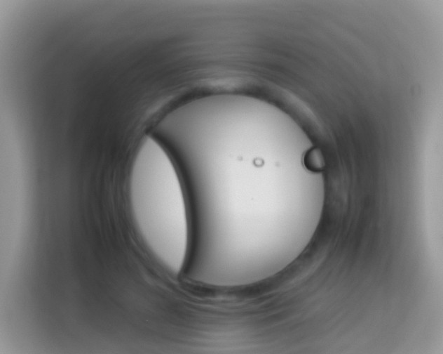 X0000114220596200910091050