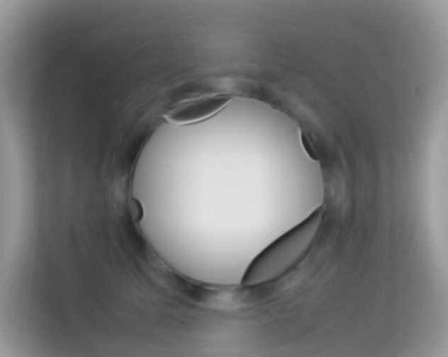 X0000114220611200910091050