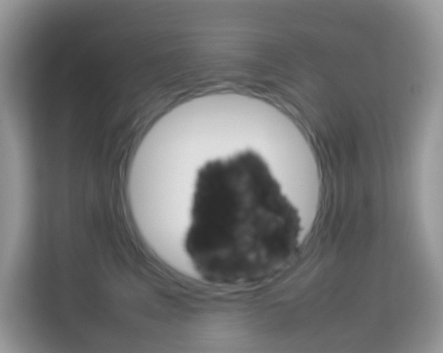 X0000114220617200910091050