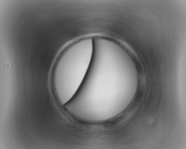 X0000114220628200910091049