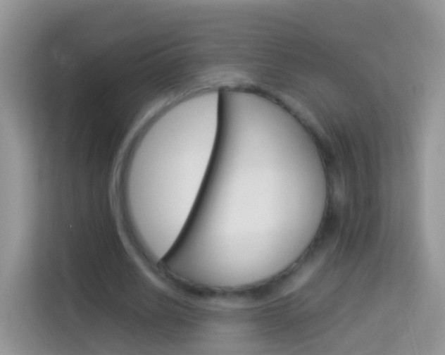 X0000114220630200910091049