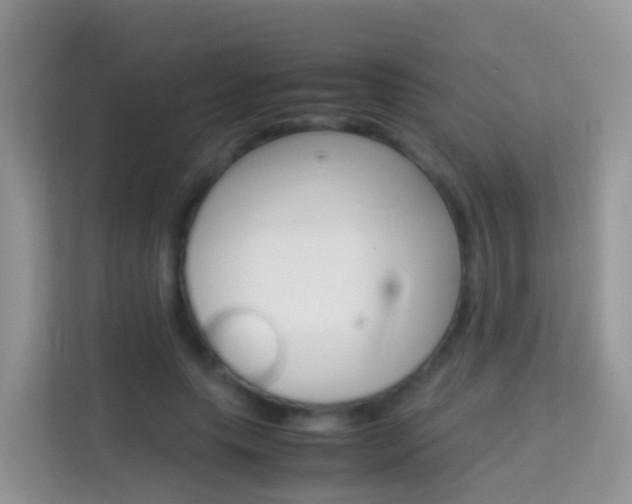 X0000114220639200910091049