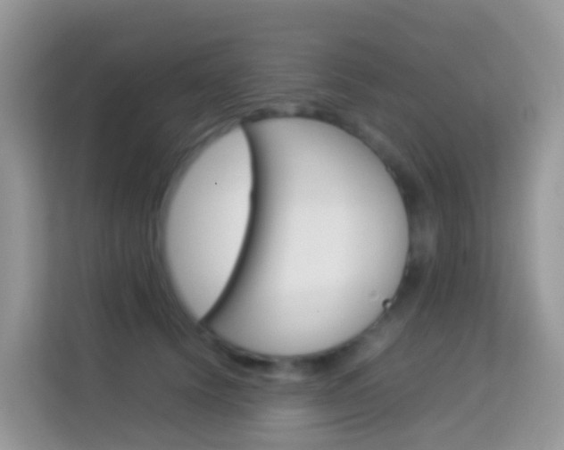 X0000114220656200910091050