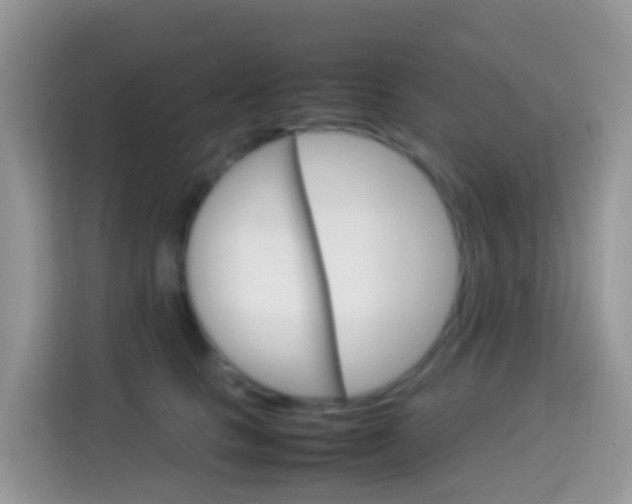 X0000114220661200910091050