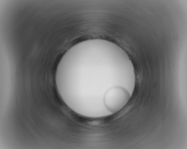 X0000114220662200910091050