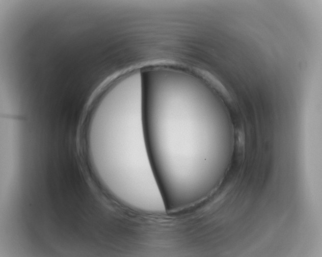 X0000114220676200910091049