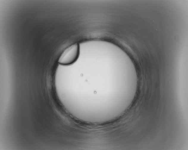 X0000114220683200910091049